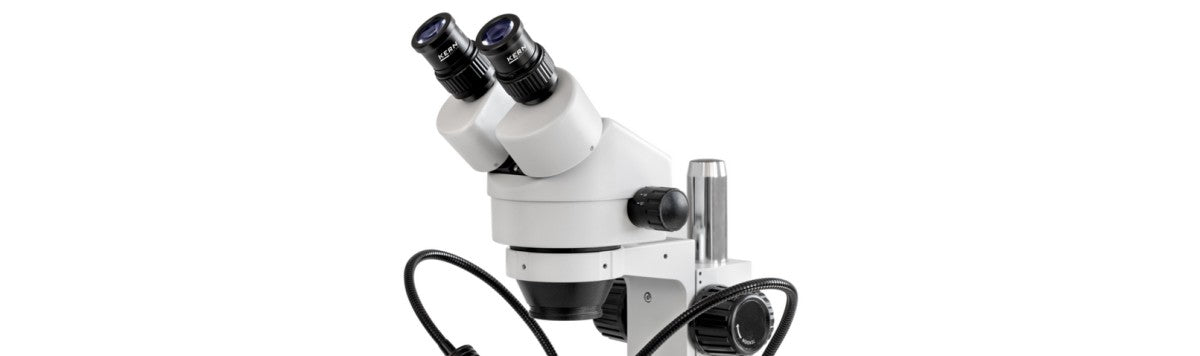 stereomikroskope