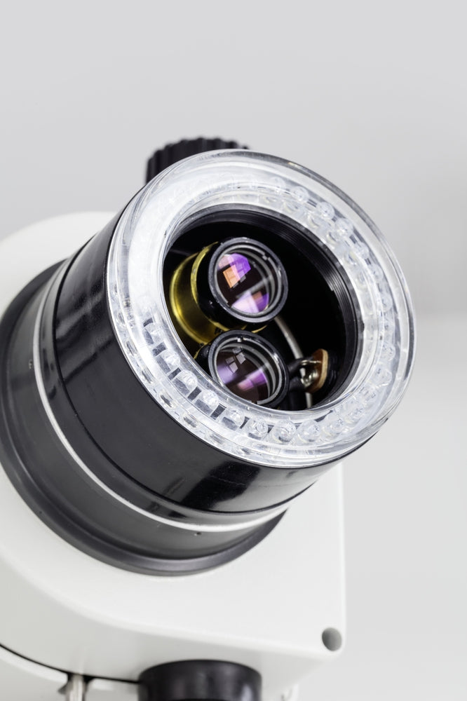 Ozl 466 Stereomikroskop von Kern
